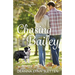 Chasing Bailey: A Lake Harriet Novel