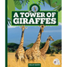 A Tower of Giraffes