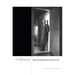 Celibacies: American Modernism & Sexual Life