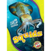 Squids