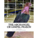 The Archangel or Gimpel Pigeon: Pigeon Breeds Book 8