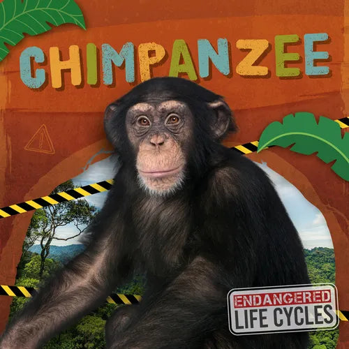 Chimpanzee - Library Binding