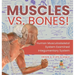 Muscles vs. Bones! Human Musculoskeletal System Examined Integumentary System Grade 6-8 Life Science