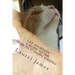 Cat Adoption - Your Guide to the "Purr-Fect" Happy Ending!