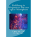 Einführung in Wittgensteins Tractatus Logico-Philosophicus