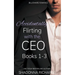 Billionaire Romance - Accidentally Flirting with the CEO Books 1-3