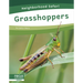 Grasshoppers