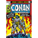Conan the Barbarian: The Original Comics Omnibus Vol.4
