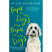 People Who Like Dogs Like People Who Like Dogs: Extraordinary Encounters in an Ordinary Park