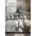 Along the tracks of Cobb and Co. - The Great Northern Road: Tenterfield to Warwick