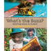 What's the Buzz?: Keeping Bees in Flight