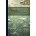 There She Blows!: The Whales We Caught And How We Did It
