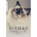Birman: Cat Breed Complete Guide