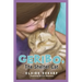 GERIBO, The Shelter Cat