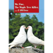 Mr. Fine, the Maple Tree Killer, and I Am Free