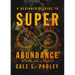 A Beginner's Guide to Superabundance: The New Economics of Time Prices