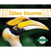 Calao Bicorne (Great Hornbills)