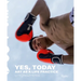 Li Yongzheng: Yes, Today