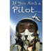 If You Ain't a Pilot...