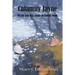 Calamity Jayne: My hit and miss guide to family food
