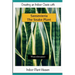 Creating an Indoor Oasis with Sansevieria Snake Plant: Snake Plant book