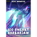 Big Sneaky Barbarian 2: A Litrpg Novel