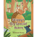 Skippy's Big Special Acorn