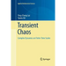 Transient Chaos: Complex Dynamics on Finite Time Scales