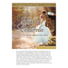 School of Cinderella Study Guide