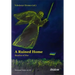 A Ruined Home: Sketches of War
