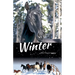 Winter with Horses
