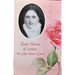 Saint Therese of Lisieux: The Little Flower of Jesus