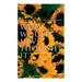 Who Would Have Thought It?: My Story of the American Civil War (Autobiographical Novel)