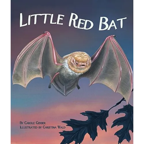 Little Red Bat