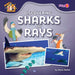 Discovering Sharks and Rays