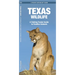 Texas Wildlife: An Introduction to Familiar Species