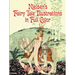 Nielsen's Fairy Tale Illustrations in Full Color