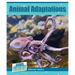 Animal Adaptations