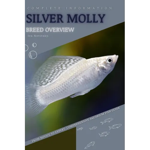 Silver Molly: From Novice to Expert. Comprehensive Aquarium Fish Guide