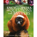 Children's Encyclopedia of Questions and Answers: Space, Planet Earth, Animals, Human Body, Science, Technology