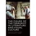 The Figure of the Terrorist in Literature and Visual Culture