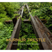 Murmur Trestle