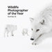 Wildlife Photographer of the Year: Portfolio 35: Volume 35