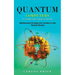 Quantum Computers: A Complete Guide to Explain in Easy Way(Mathematical Principle and Transition to the Classical Discrete)