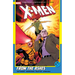 X-Men: From the Ashes
