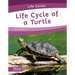 Life Cycle of a Turtle