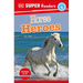 DK Super Readers Level 4 Horse Heroes
