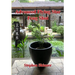 Advanced Flying Star Feng Shui