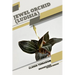 Jewel Orchid (Ludisia): Closed terrarium, Beginner's Guide