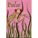 Pulse 2025-2026